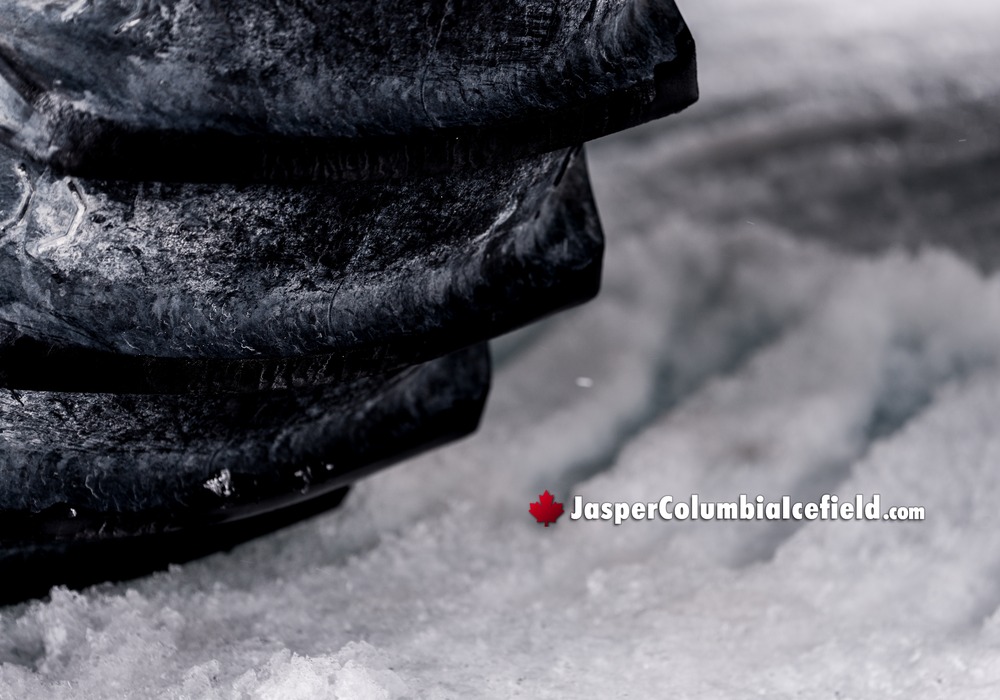 Fat Truck Snow Tires