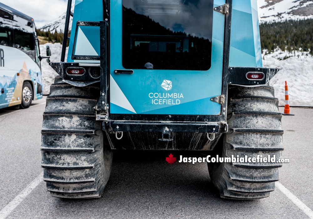 Fat Truck Ice Odyssey