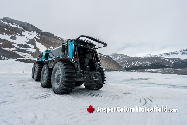 The 2026 Jasper Columbia Icefield Experience