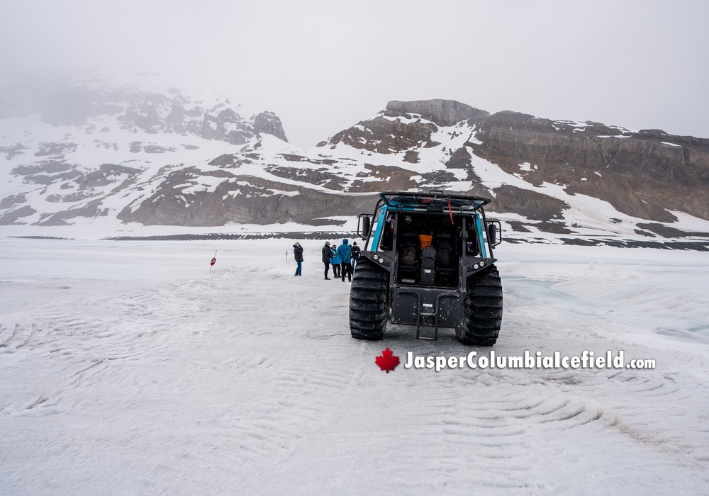 Visitors Along Athabasca Glacier
