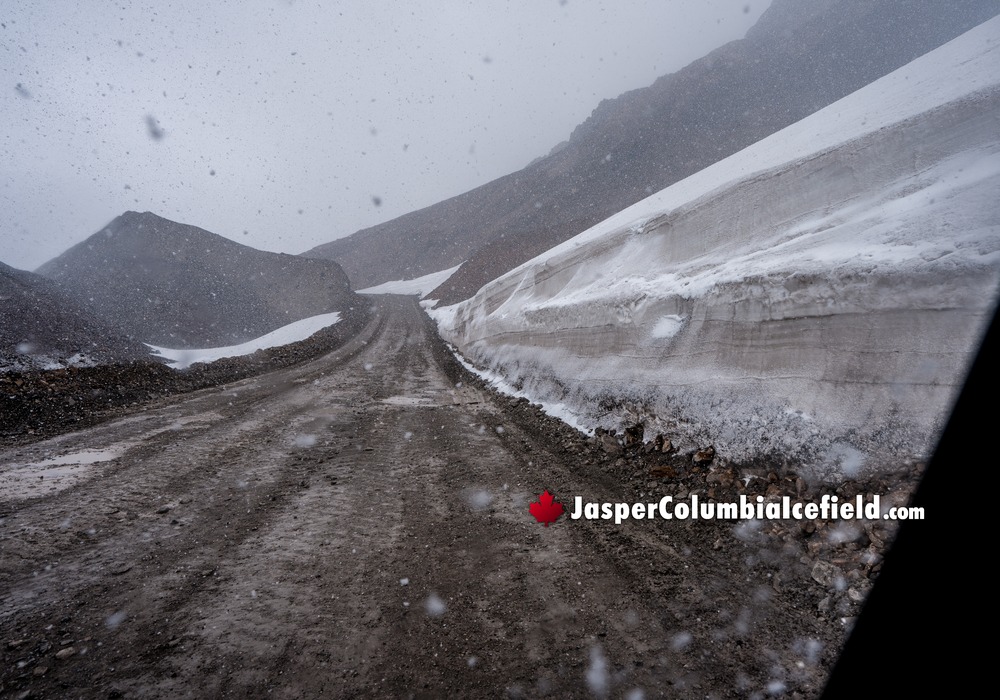 Returning to Glacier Parking Lot