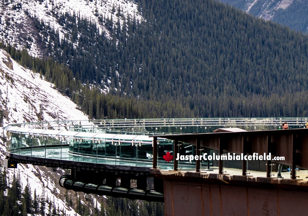 The Columbia Icefield Skywalk