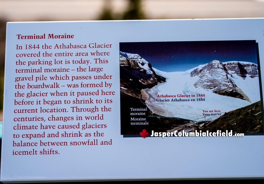 Athabasca Glacier Terminal Moraine