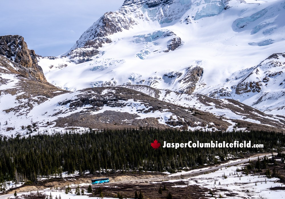 The Bus to Walk on the Athabasca Glacier