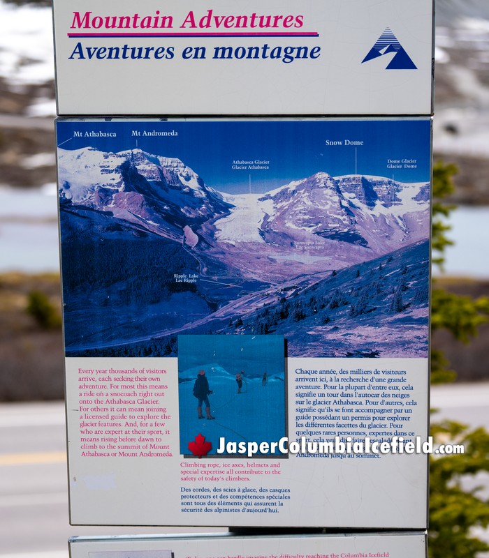 Columbia Icefield Mountain Adventures