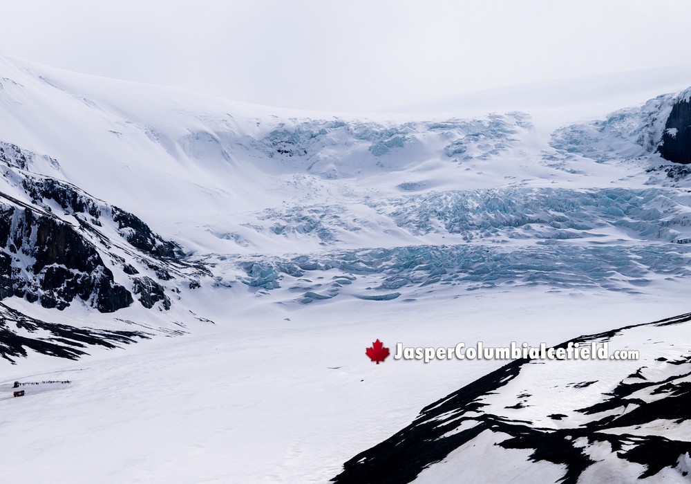 Walk on Athabasca Glacier