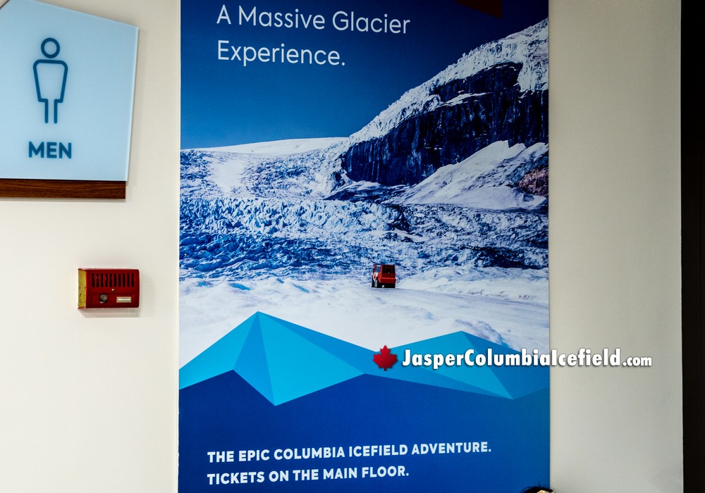 The Epic Jasper Columbia Icefield Adventure